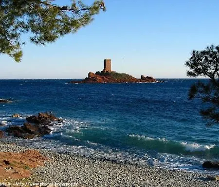Appartement Les Gabians - Appartement - Plage 200M - Saint Raphael *