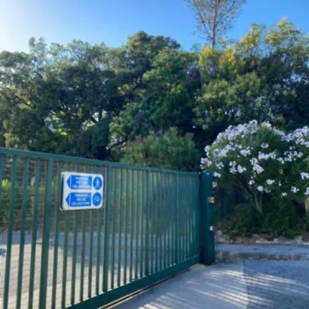 Les Gabians - T2 - Tiki - Raphaël *